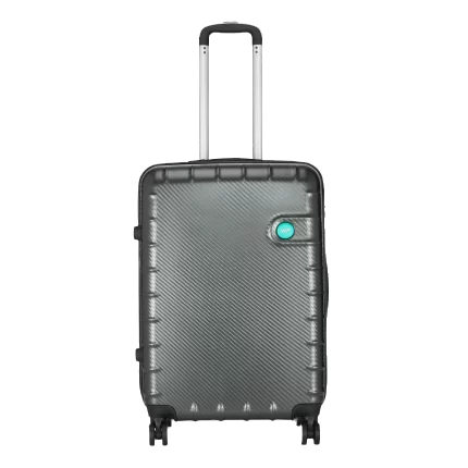 same day luggage delivery
