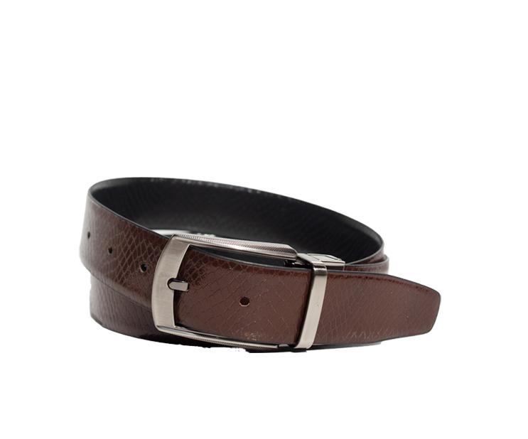Adelphi Reversible Belt Snake, photo 2